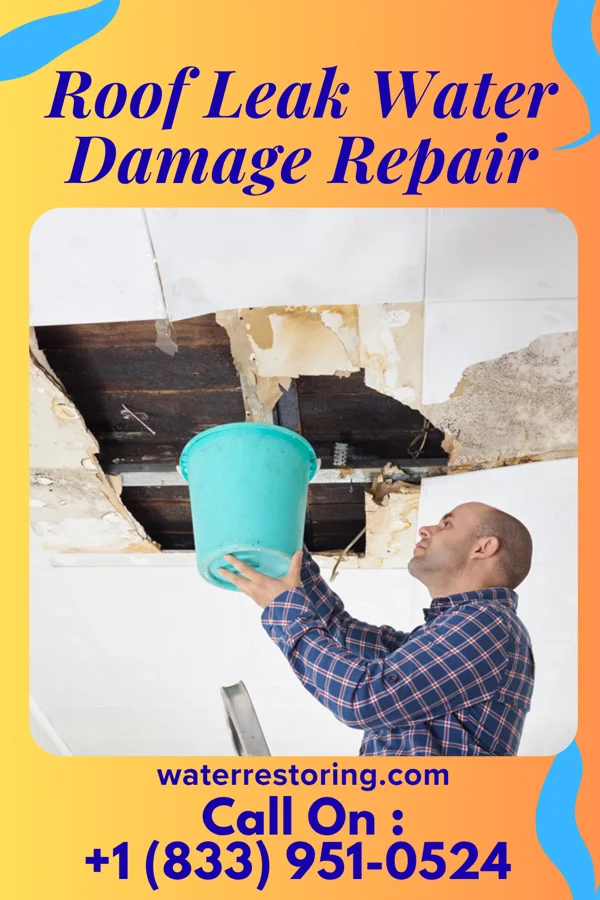 Roof Leak Water Damage Repair in Whiting, KS